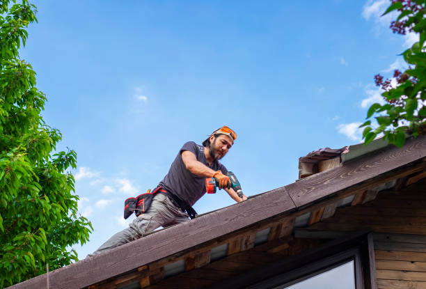 Best Metal Roofing Installation  in Preston, MN