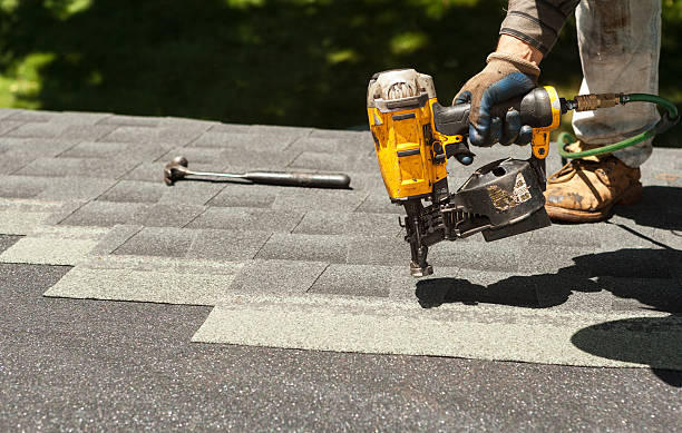 Best Roof Ventilation Installation  in Preston, MN