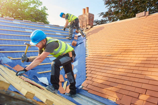 Best Roof Coating and Sealing  in Preston, MN